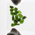 5ct Chrome Diopside Facet Rough Parcel