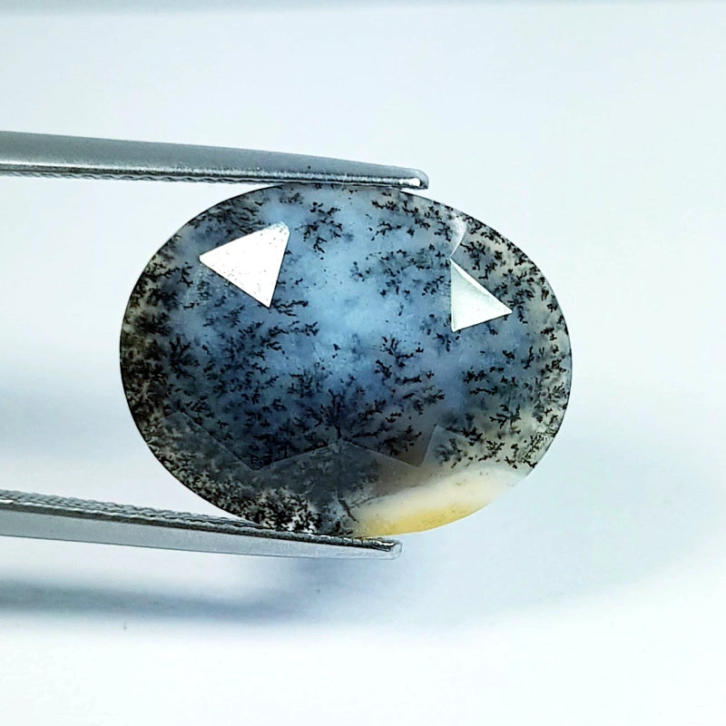 8.7ct Dendrite Opal - alternate view 2
