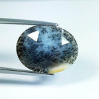 8.7ct Dendrite Opal - alternate view 2