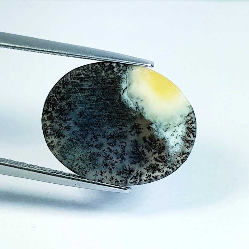 8.7ct Dendrite Opal - alternate view 3