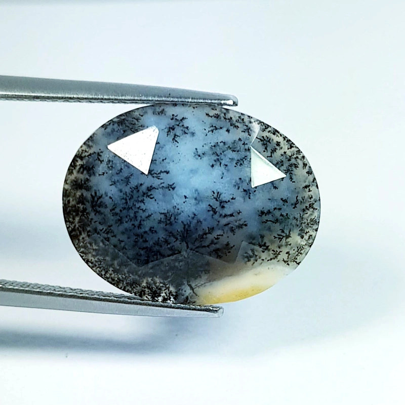 8.7ct Dendrite Opal