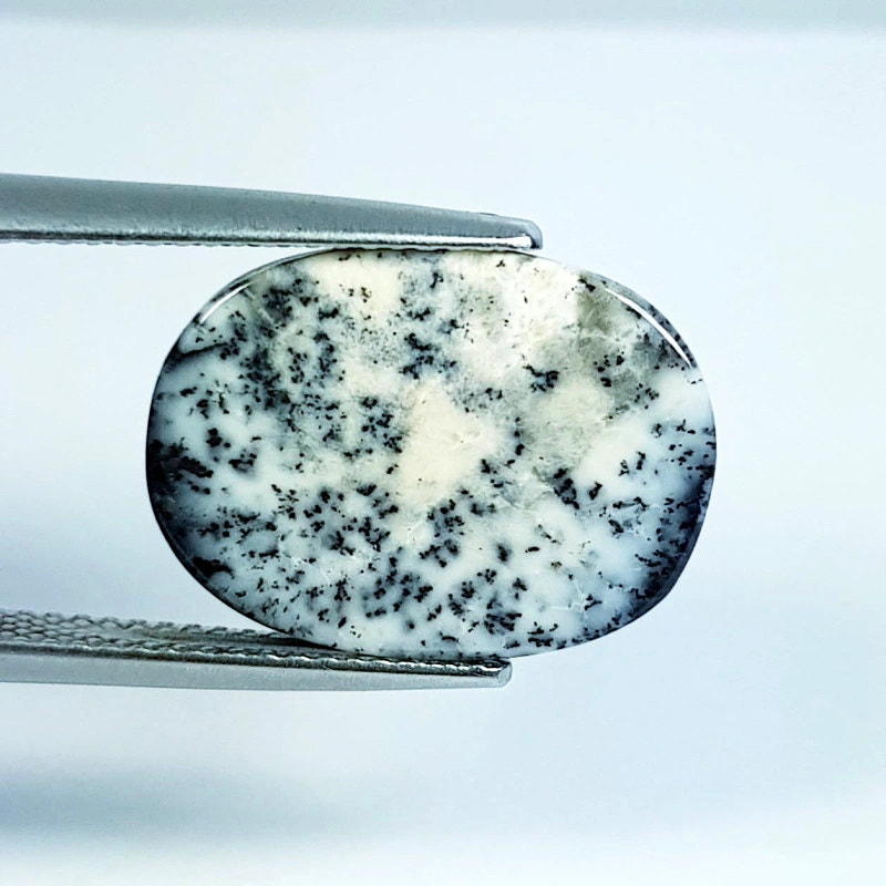 8.8ct Dendrite Opal - alternate view 2