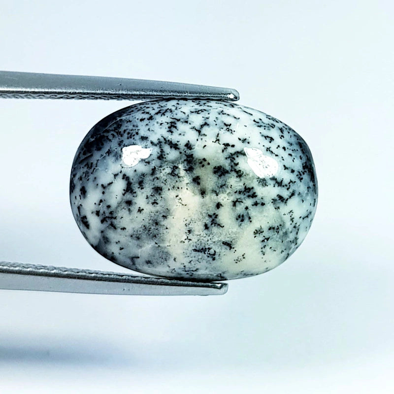 8.8ct Dendrite Opal - alternate view 3