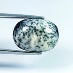 8.8ct Dendrite Opal - alternate view 3