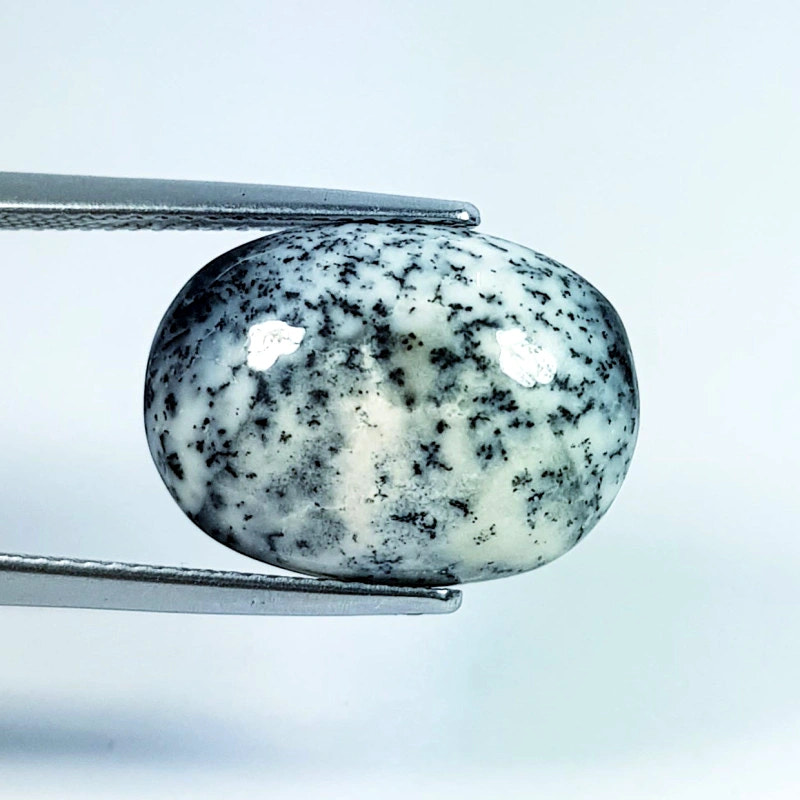 8.8ct Dendrite Opal