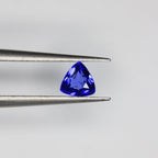 Tanzanite gemstone - Tan 0011 - Photo 01 [RTG-TAN-0010-CER-0011-REPLACEMENT-V1 D8CA10B159863E0F]