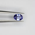 Tanzanite gemstone - Tan 0054 - Photo 01 [RTG-TAN-BATCH-0053-0060-V1 A5126FBDCDE4C374]