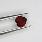 Garnet gemstone - Gar 0180 - Photo 01 [RTG-GAR-0180-0181-REPLACEMENT-V1 5AD448239A23C737]