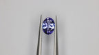 Tanzanite gemstone - Tan 0054 - Video 01 [RTG-TAN-BATCH-0053-0060-V1 8E456CA13E145AD5]